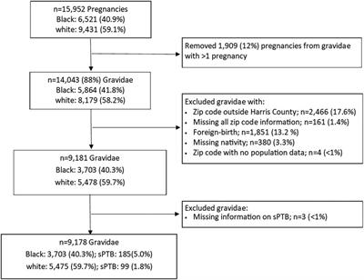 Environmental justice burden and Black-White disparities in spontaneous preterm birth in Harris County, Texas